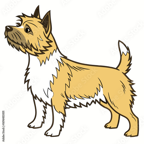 Cute cairn terrier dog
