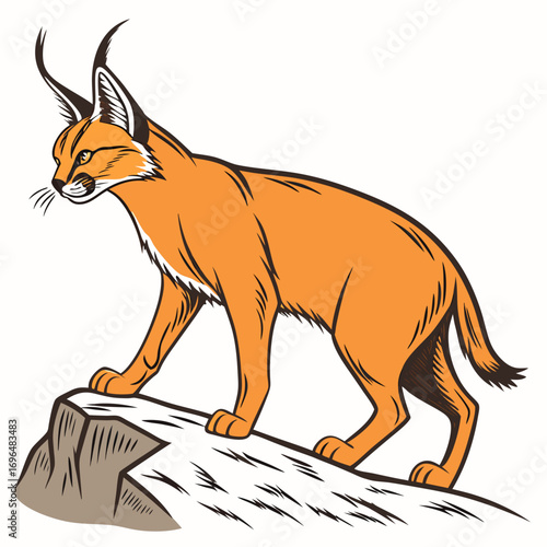 Illustration of a caracal standing on a rock