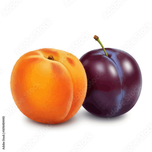 Fresh Fruits Apricot and Plum Isolated on a White Background