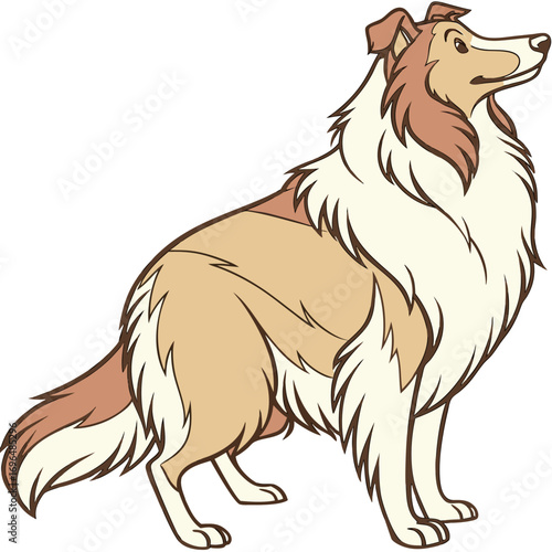Cartoon illustration of a collie dog
