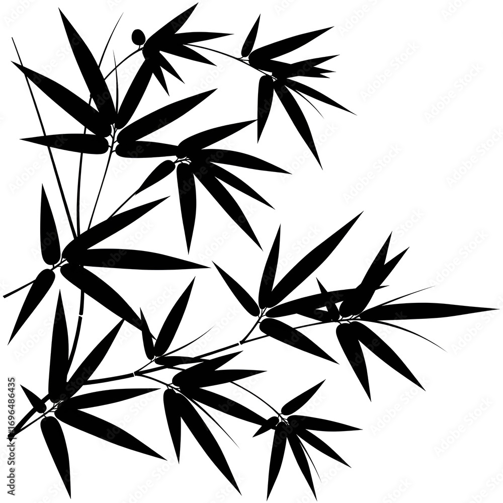Bamboo black and white vector illustration silhouette 