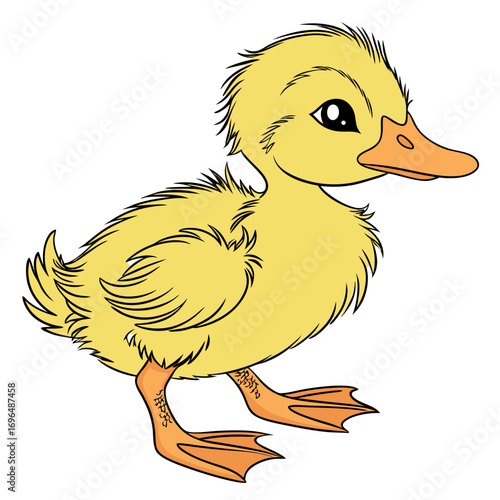 Cute yellow duckling