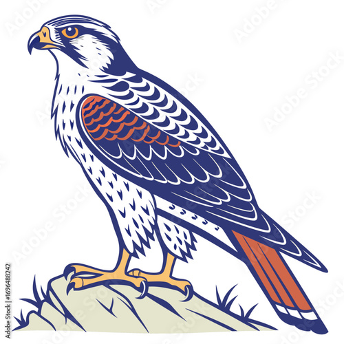 A majestic falcon perched on a rock, detailed illustration