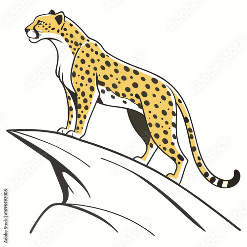 Cheetah standing on a rock
