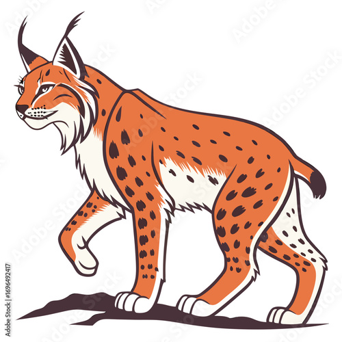 Illustration of a lynx walking on a rocky surface