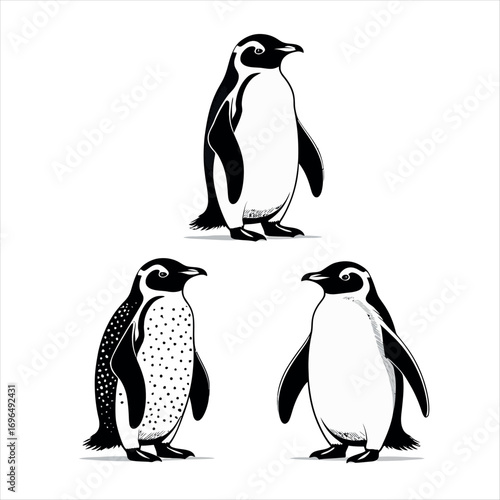 Vector art of three penguins standing, vector illustration design