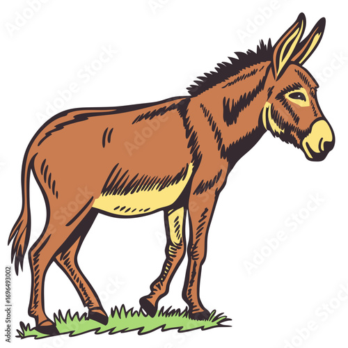 Illustration of a brown donkey standing on grass
