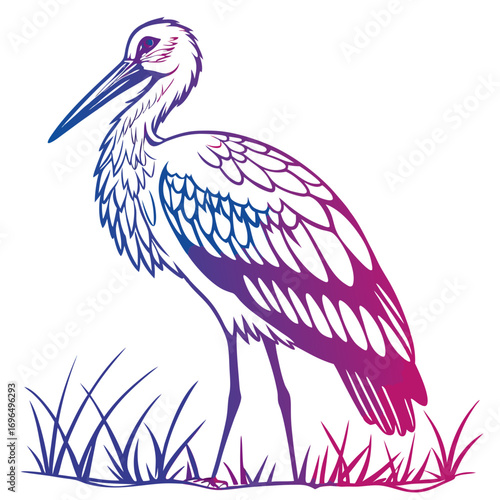 Illustration of a stork standing in grass