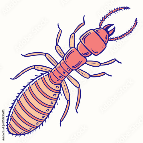 Termite illustration