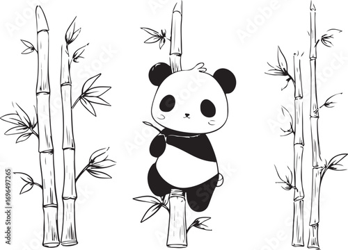 Cute Cartoon Panda Bear Cub Clinging to Bamboo Stalks Black and White Illustration Style Drawing for Children