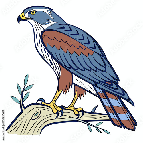 Illustration of a hawk perched on a branch