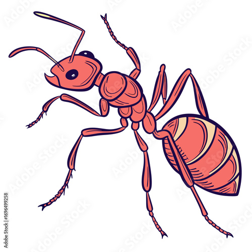 Red ant illustration