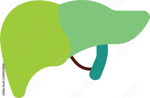 Simple Stylized Human Liver Symbol for Medical and Healthcare Concepts