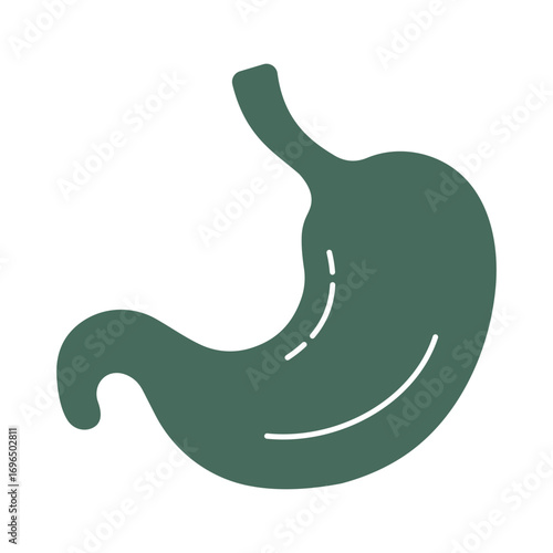 Minimalist Human Stomach Icon for Anatomy and Gastroenterology