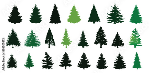 Collection of evergreen tree silhouettes in various shapes and sizes for graphic design elements and festive backgrounds