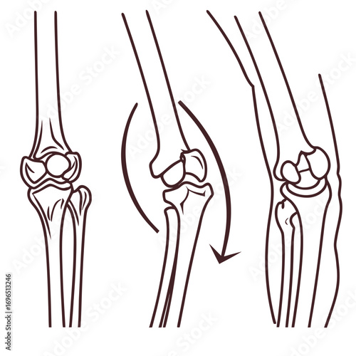 Outline vector icons of human joints knee elbow and shoulder