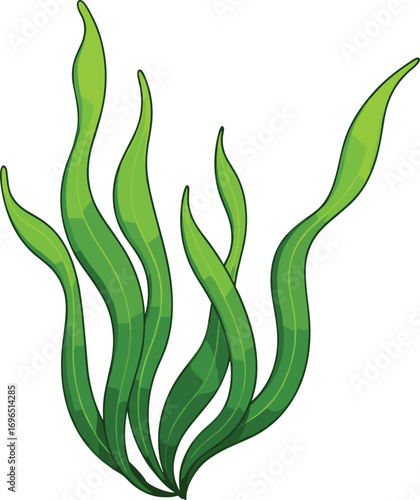 Green seaweed illustration, underwater plant, marine life design, ocean ecosystem element, wavy fronds, aquatic nature, cartoon algae, editable vector