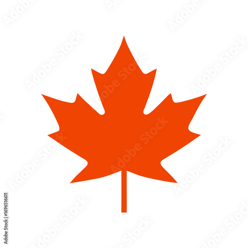 Silhouette of maple leaf clear autumn seasonal nature decorative vector design illustration