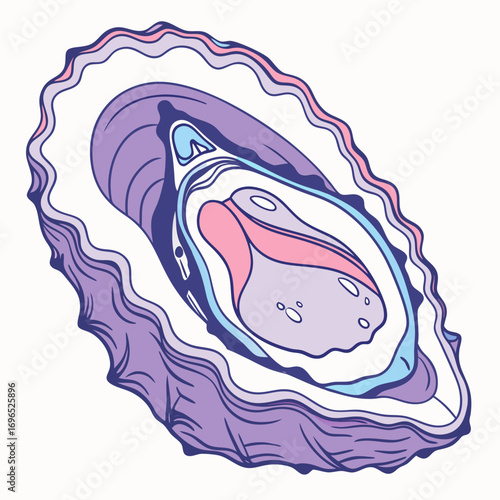 Illustration of an oyster