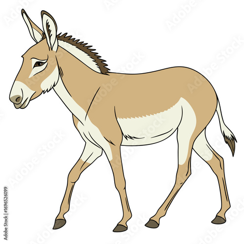 Illustration of a tan donkey with a white belly