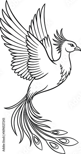 Phoenix bird drawing outline illustration mythical creature art
