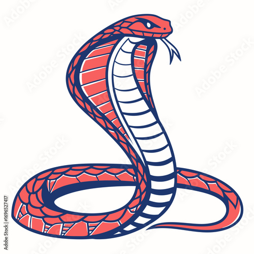 Red cobra snake coiled and ready to strike