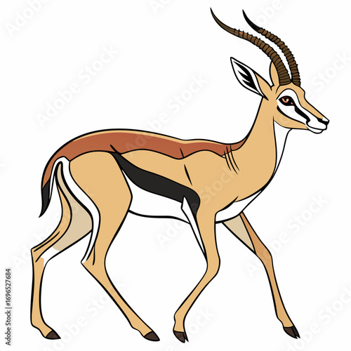 Illustration of a gazelle