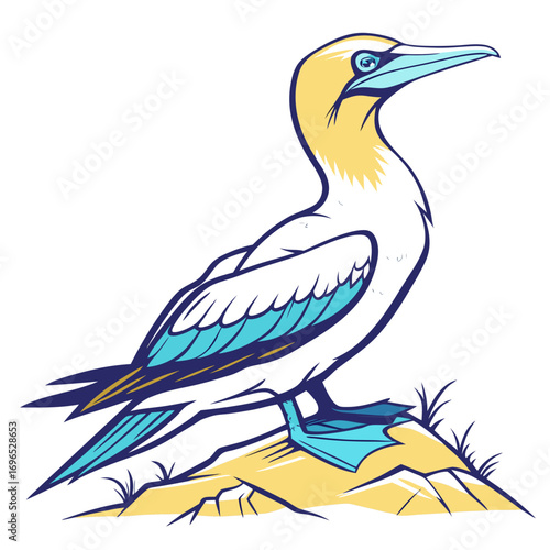 Illustration of a bluefooted booby bird standing on a rock