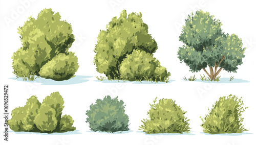 Green Bush Collection Graphic Resource Decorative Bushes Garden Elements Landscaping Vector Illustration Set