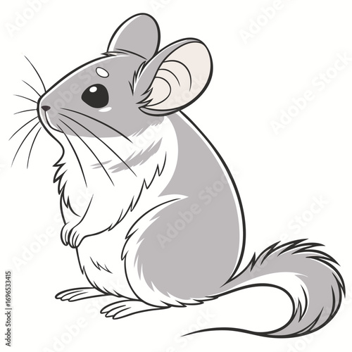 Cute cartoon chinchilla
