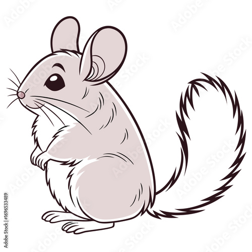 Cute cartoon chinchilla