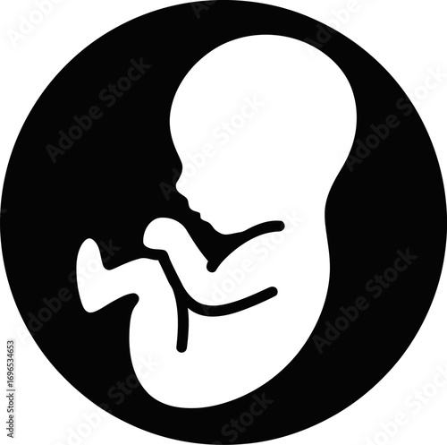 Fetus baby in womb pregnancy icon vector illustration art