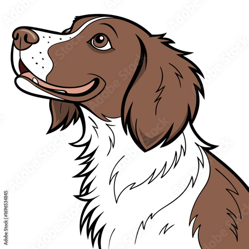 Brown and white brittany spaniel dog head