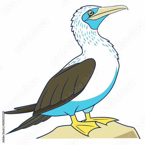 Cartoon illustration of a bluefooted booby bird standing on a rock