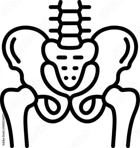 Stylized illustration of the human pelvis and spine, symbolizing anatomy and health.