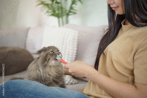 Young Asian woman feeding her fluffy cat with a treat at home.