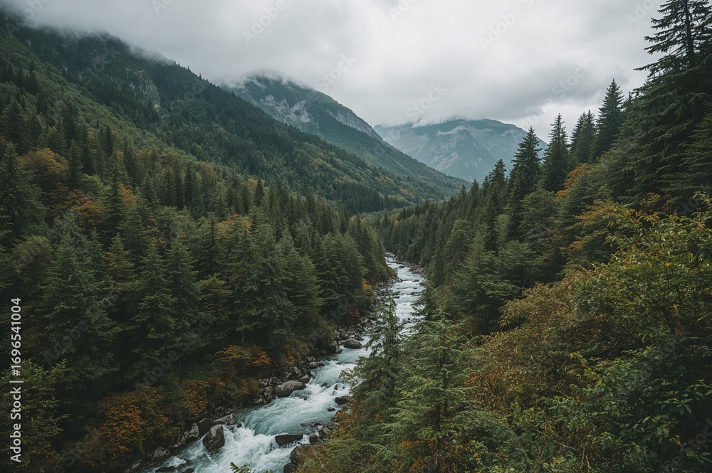 Obraz premium Dense green forest blanketing a mountain under overcast skies