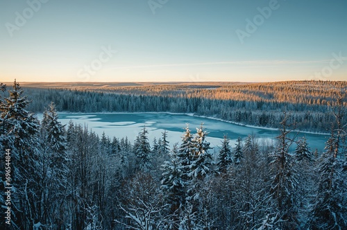 Wallpaper Mural Snow-Covered Lake and Woodland Scene Torontodigital.ca