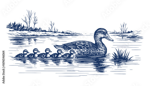 Vintage engraving illustration of duck swimming with ducklings in pond, detailed retro sketch representing nature, family, and wildlife.