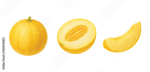 Adobe Illustrator Artwork