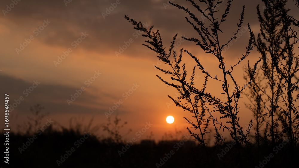 Naklejka premium The setting sun, its afterglow, and the natural scenery