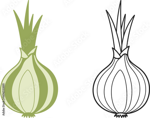 Fresh green onion and its simple outline on a white background