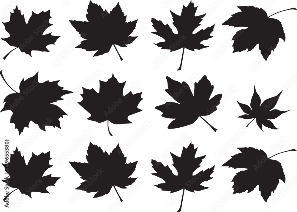Fototapeta premium Vector seamless pattern of colorful autumn leaves with maple and oak elements