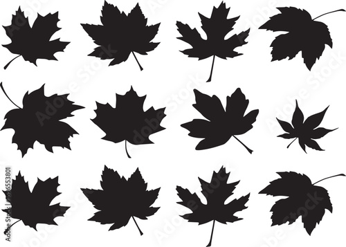 Vector seamless pattern of colorful autumn leaves with maple and oak elements
