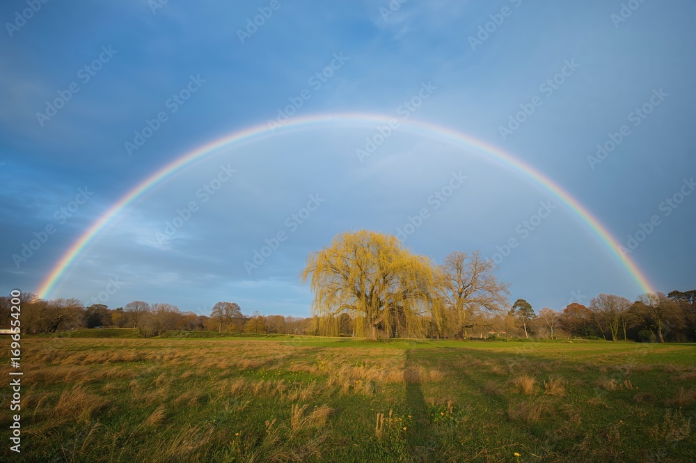 Naklejka premium Afternoon double rainbow in springtime