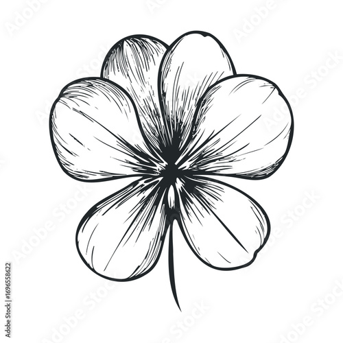 Four leaf clover symbolizing luck and good fortune for celebrations. Vector hand drawn illustration