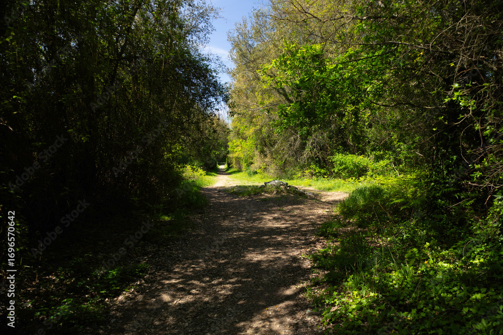 Naklejka premium with green vegetation and blue sky…7