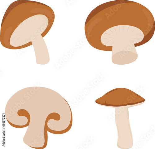 Best vector set of mushroom illustrations, cartoon food icons, organic autumn vegetables, edible fungi, natural and healthy cooking elements and stickers. Mushrooms isolated on white background.