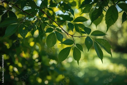 Wallpaper Mural Lush foliage with a soft-focus natural backdrop, showcasing texture and light of the warm seasons Torontodigital.ca