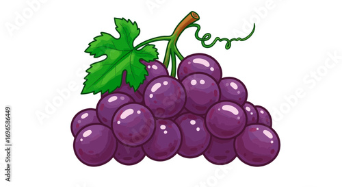 Fresh purple grapes fruit healthy eating delicious ripe food nutrition sweet juicy tasty vitamin rich snack on transparent background